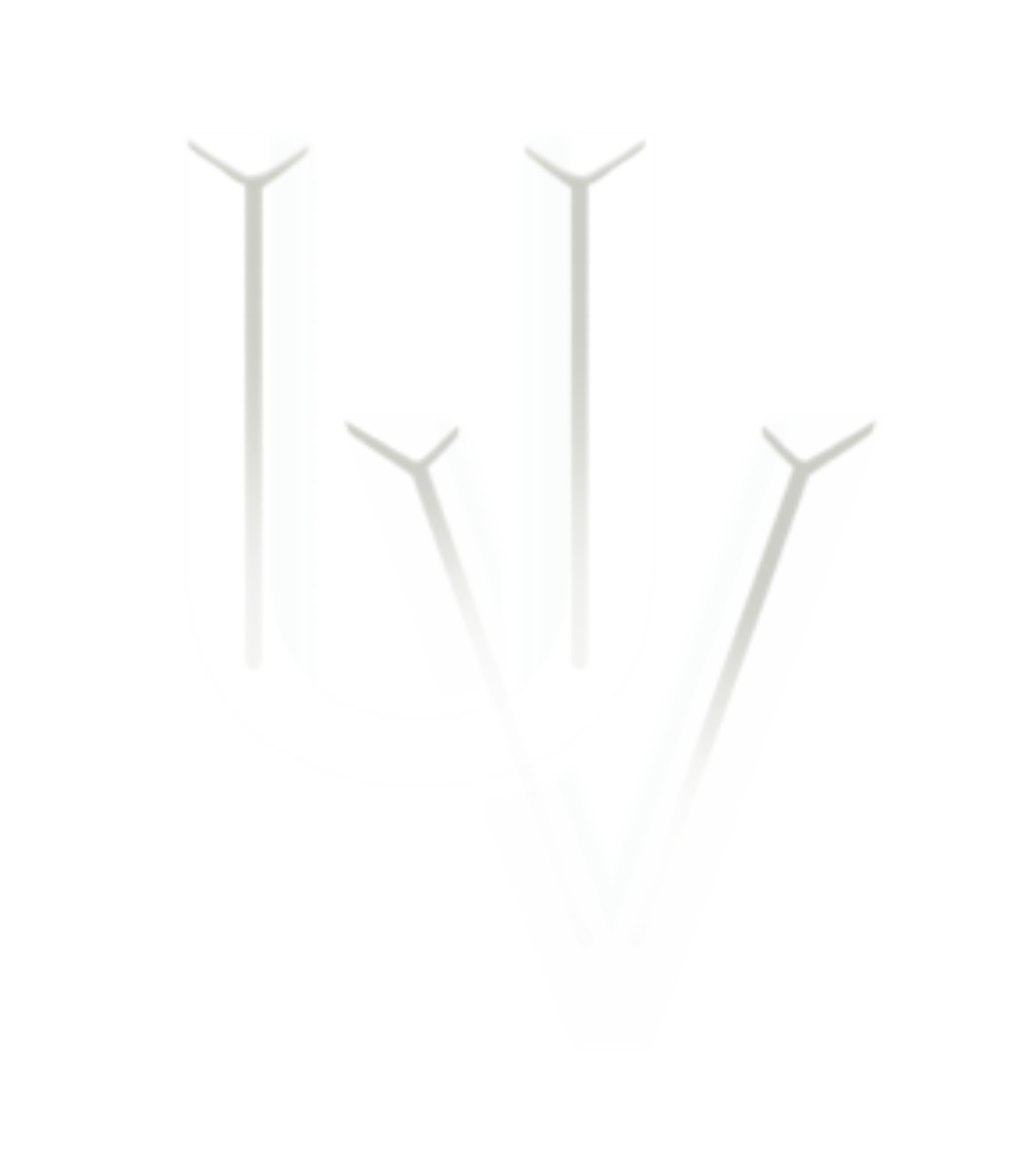 UrbanVanguard